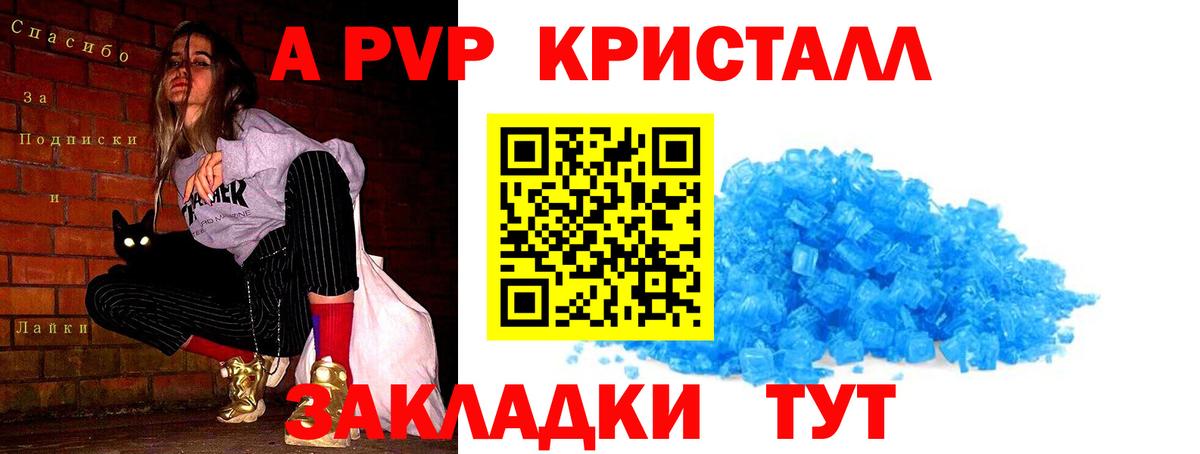A PVP Ставрополь