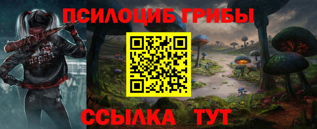 Ставрополь  Псилоцибиновые грибы мицелий  Вход с VPN  Псилоцибиновые грибы мухоморы 